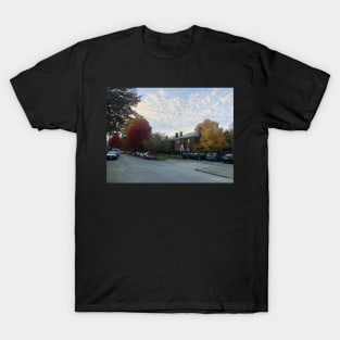 Autumn Scene in Columbus, Ohio T-Shirt